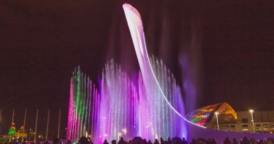 Экскурсия из Сочи: Шоу Фонтанов и вечерний Олимпийский парк фото 10643