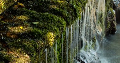 Экскурсии в `33 водопада` из Сочи